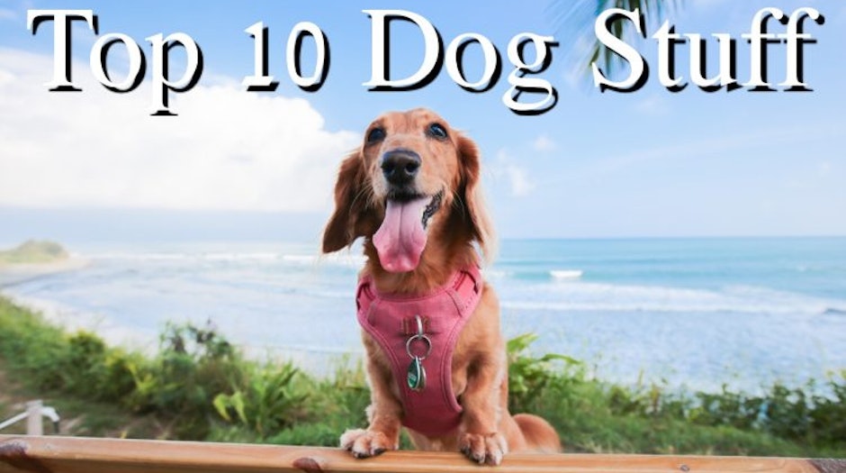寵物部落客推薦10款愛用的狗狗用品