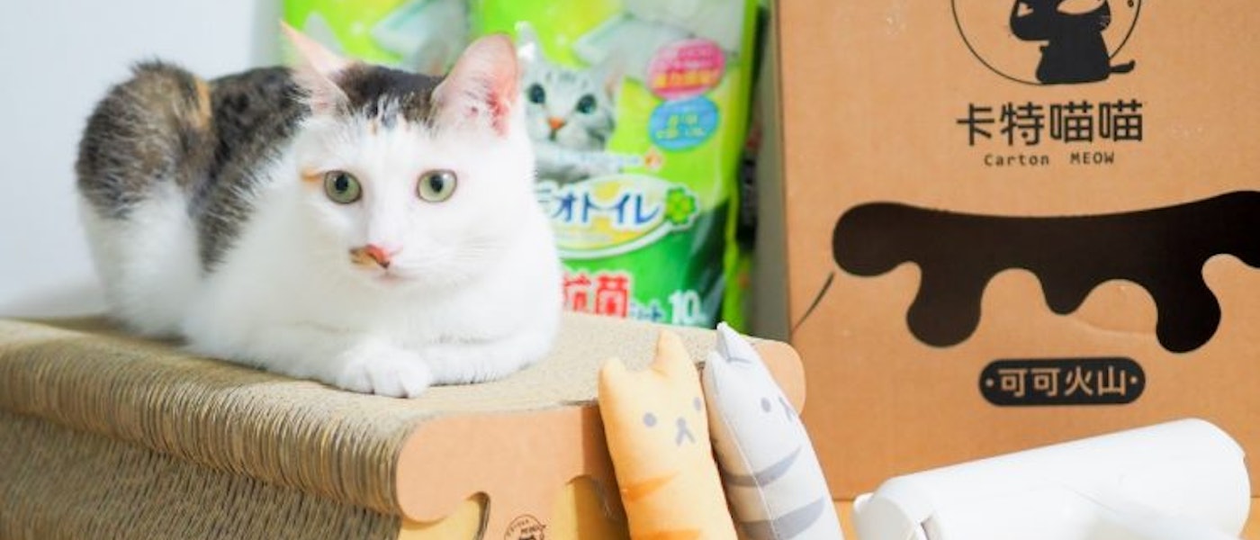 貓咪部落客推薦11款愛用的多貓家庭必備用品