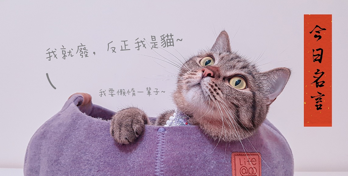 21日本必買實測 推薦十大貓乾糧人氣排行榜 Mybest