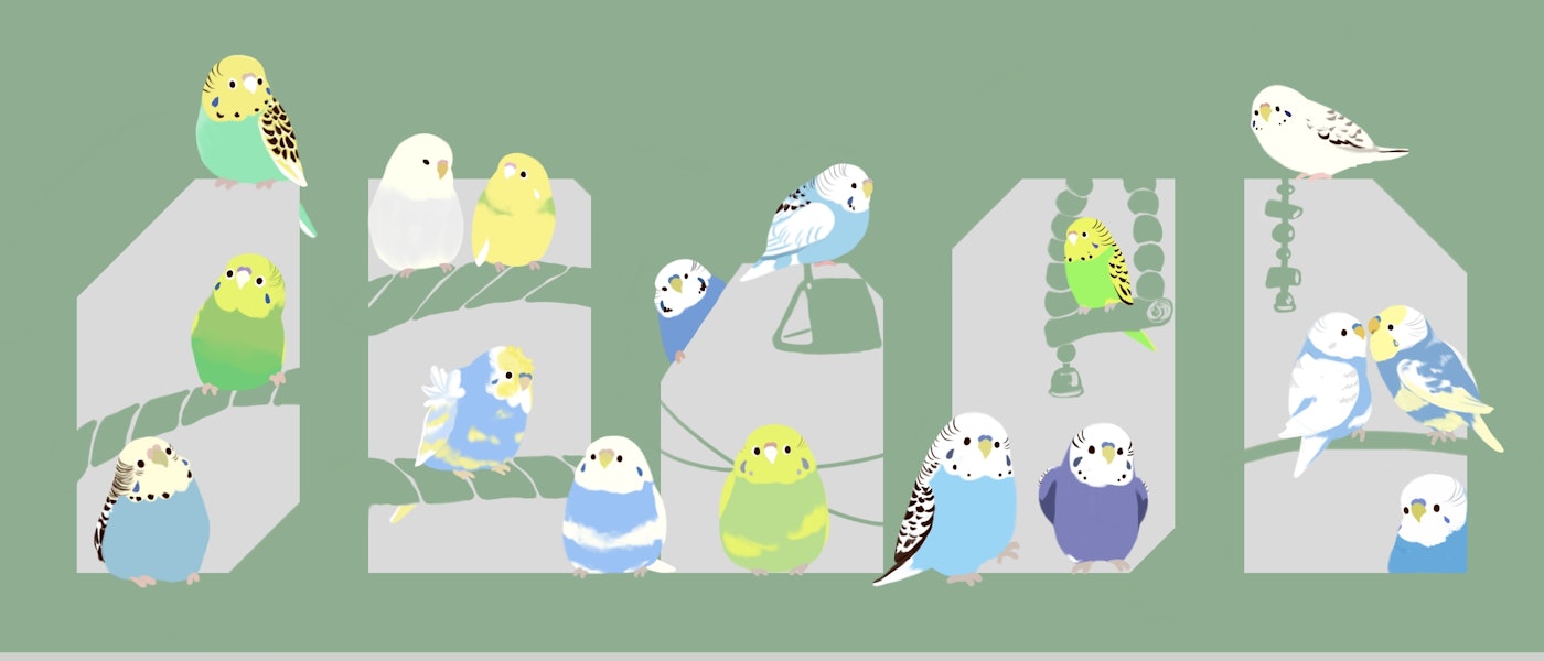 圖文創作家推薦7款繪製鳥類愛用畫具		