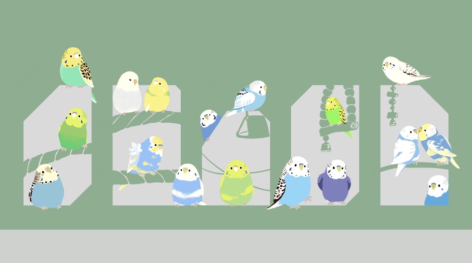 圖文創作家推薦7款繪製鳥類愛用畫具		