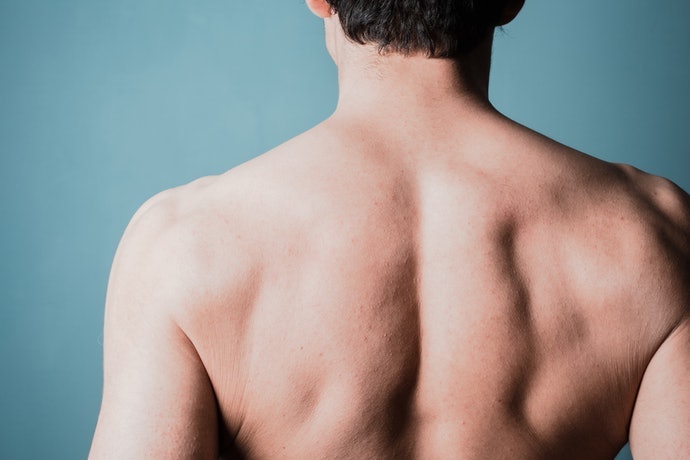 肩胛骨：適合肩頸痠痛、冷底體質者