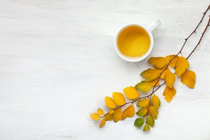 京番茶、炭火焙茶：個性派獨特的香味