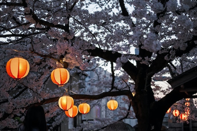 舉行櫻花祭的景點：可享受慶典的熱鬧氛圍