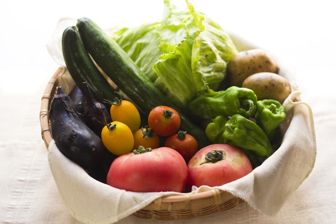 番茄、茄子、小黃瓜：適合長效型肥料
