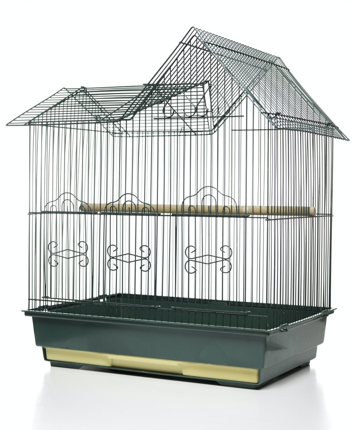獸醫監修 22最新12款人氣虎皮鸚鵡鳥籠推薦 Mybest