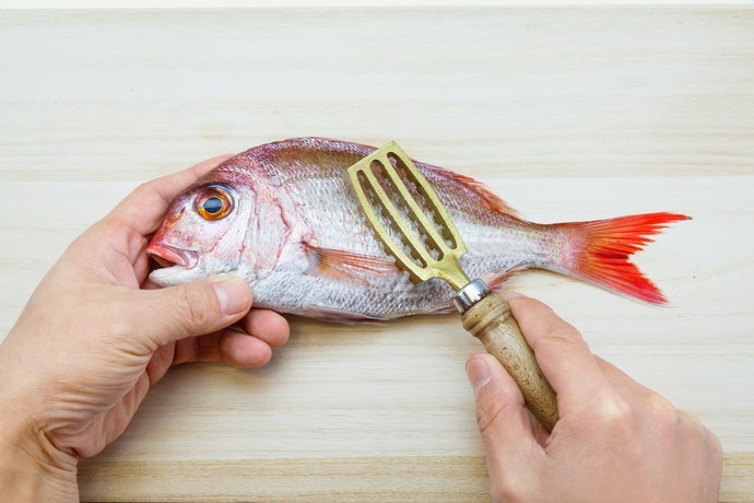 黃銅：適用於處理大型魚隻