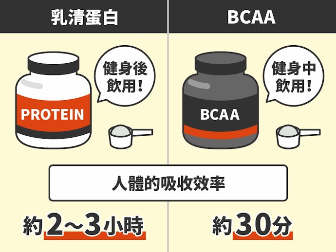 BCAA和乳清蛋白的差異是？