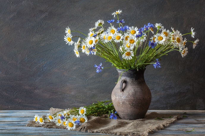 推薦十大花瓶人氣排行榜 21年最新版 Mybest