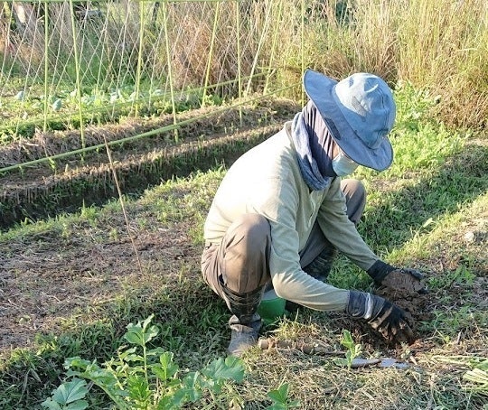 專家監修 22最新十大人氣培養土推薦 Mybest 專家監修 22最新十大人氣培養土推薦 Mybest