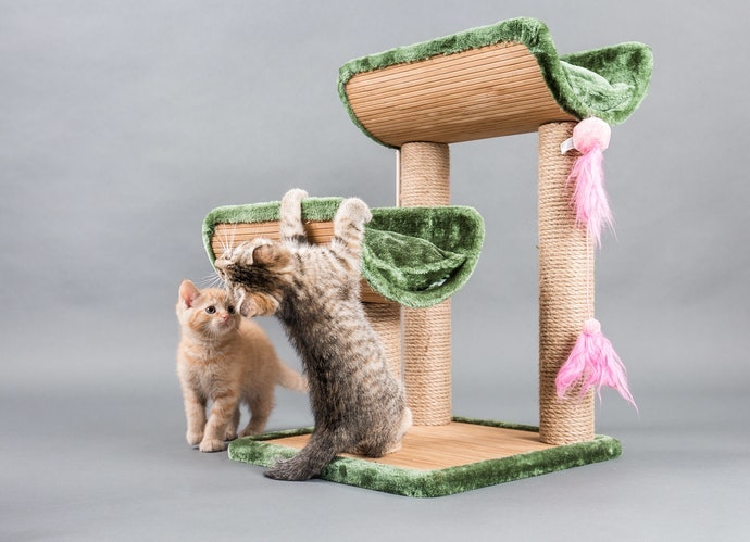 沙發及貓窩型：外觀時尚具設計感