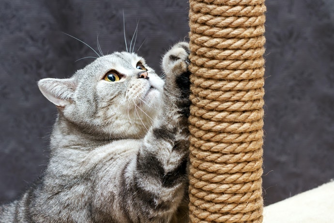 兼具貓抓板功能的麻繩材質更便利