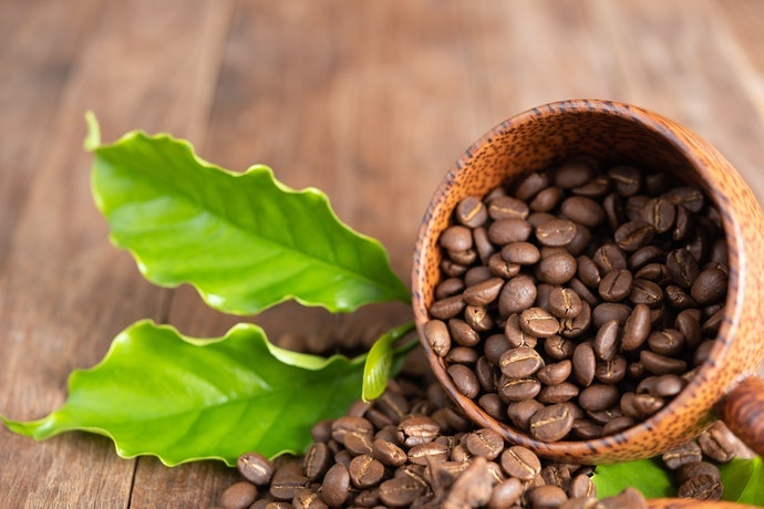 將咖啡豆品種也列入參考