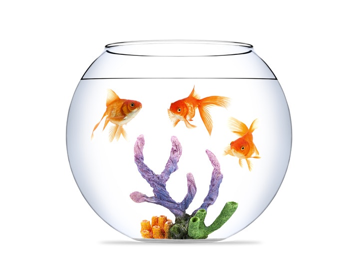 9qf7o8jh4qesxm 9qf7o8jh4qesxm