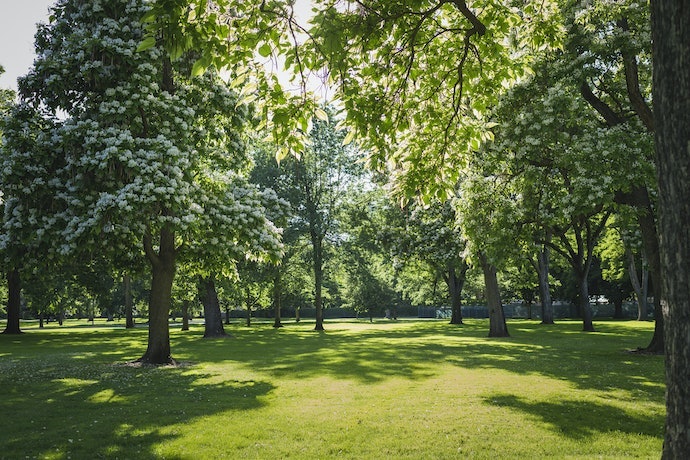公園綠地：透過大自然來療癒身心