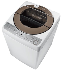【2022最新】十大直立式洗衣機推薦排行榜 2