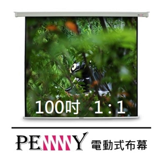 PENNY 100吋方型電動布幕 1