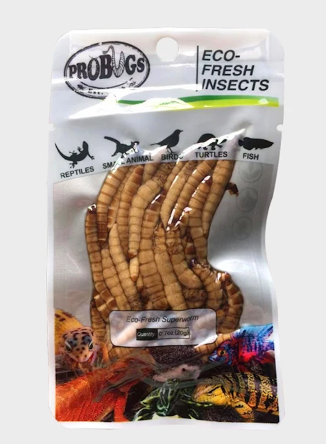昆寶寵物原形食糧 刺蝟生鮮包 1