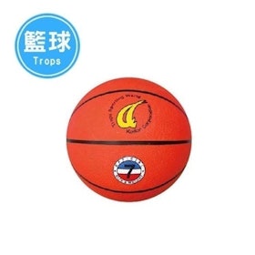 【2022最新】十大籃球推薦排行榜 2