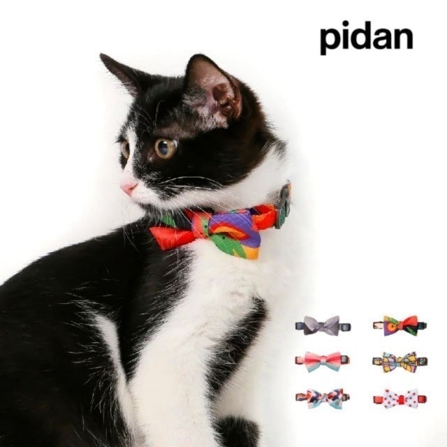 pidan  貓用項圈 1
