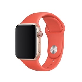 【2022最新】十大Apple Watch錶帶推薦排行榜 3