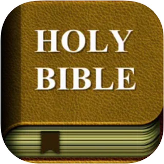 WEI XU 聖經和合本中英雙語文字版HD 1