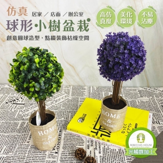 推薦十大仿真植物人氣排行榜 21年最新版 Mybest 推薦十大仿真植物人氣排行榜 21年最新版 Mybest