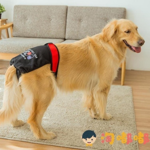 中大型犬寵物生理褲 1