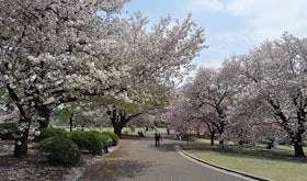 【2022最新】十大東京散步景點推薦排行榜 3