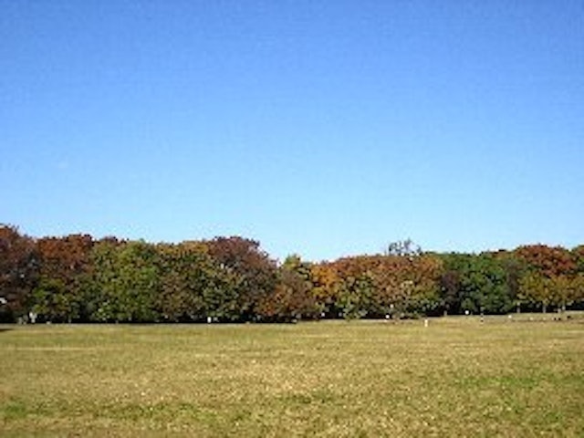 小金井公園 1