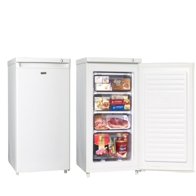 SAMPO聲寶 直立式冷凍櫃 1