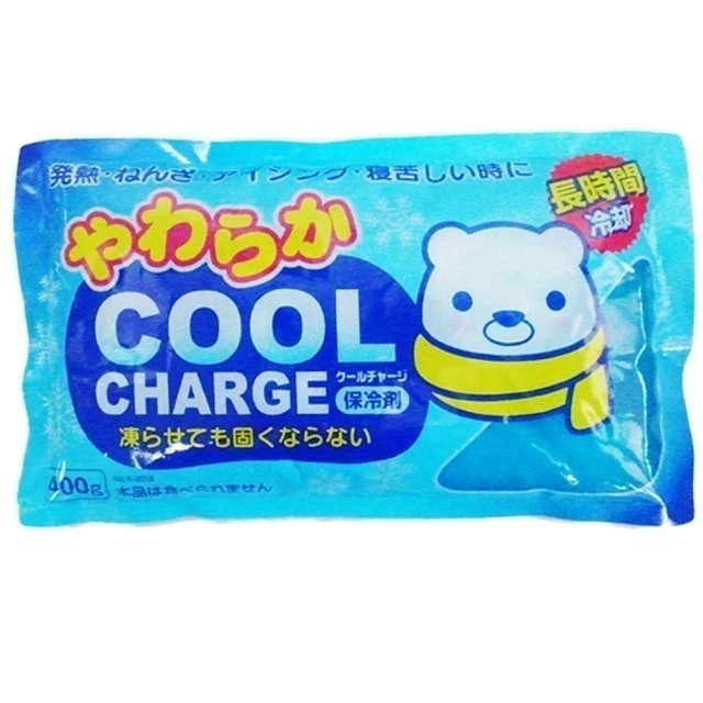 日本紀陽 袋裝進口保冷劑 1