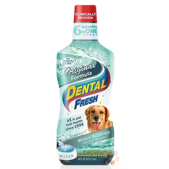 Dental Fresh潔牙白 一般版潔牙液 1
