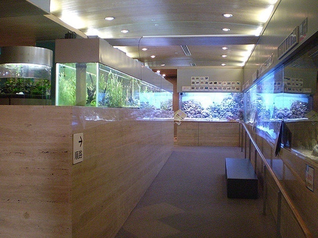 板橋區立熱帶環境植物館 1