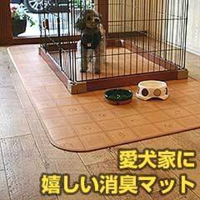 SINCOL 寵物專用地墊（大尺寸） 1