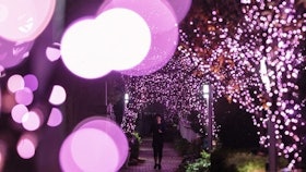 【2022最新】十大東京聖誕燈飾推薦排行榜 5