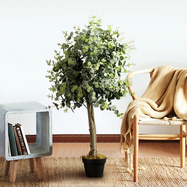 推薦十大仿真植物人氣排行榜 年最新版 Mybest 推薦十大仿真植物人氣排行榜 年最新版 Mybest