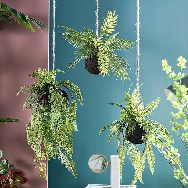 推薦十大仿真植物人氣排行榜 年最新版 Mybest 推薦十大仿真植物人氣排行榜 年最新版 Mybest