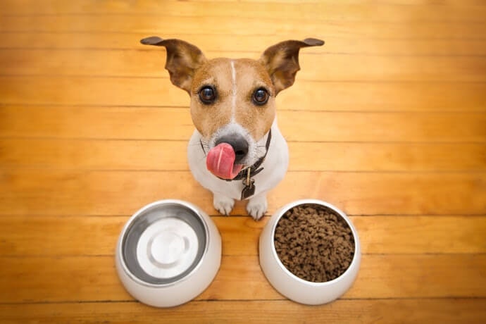 推薦十大無穀狗飼料人氣排行榜 2020年最新版 Mybest
