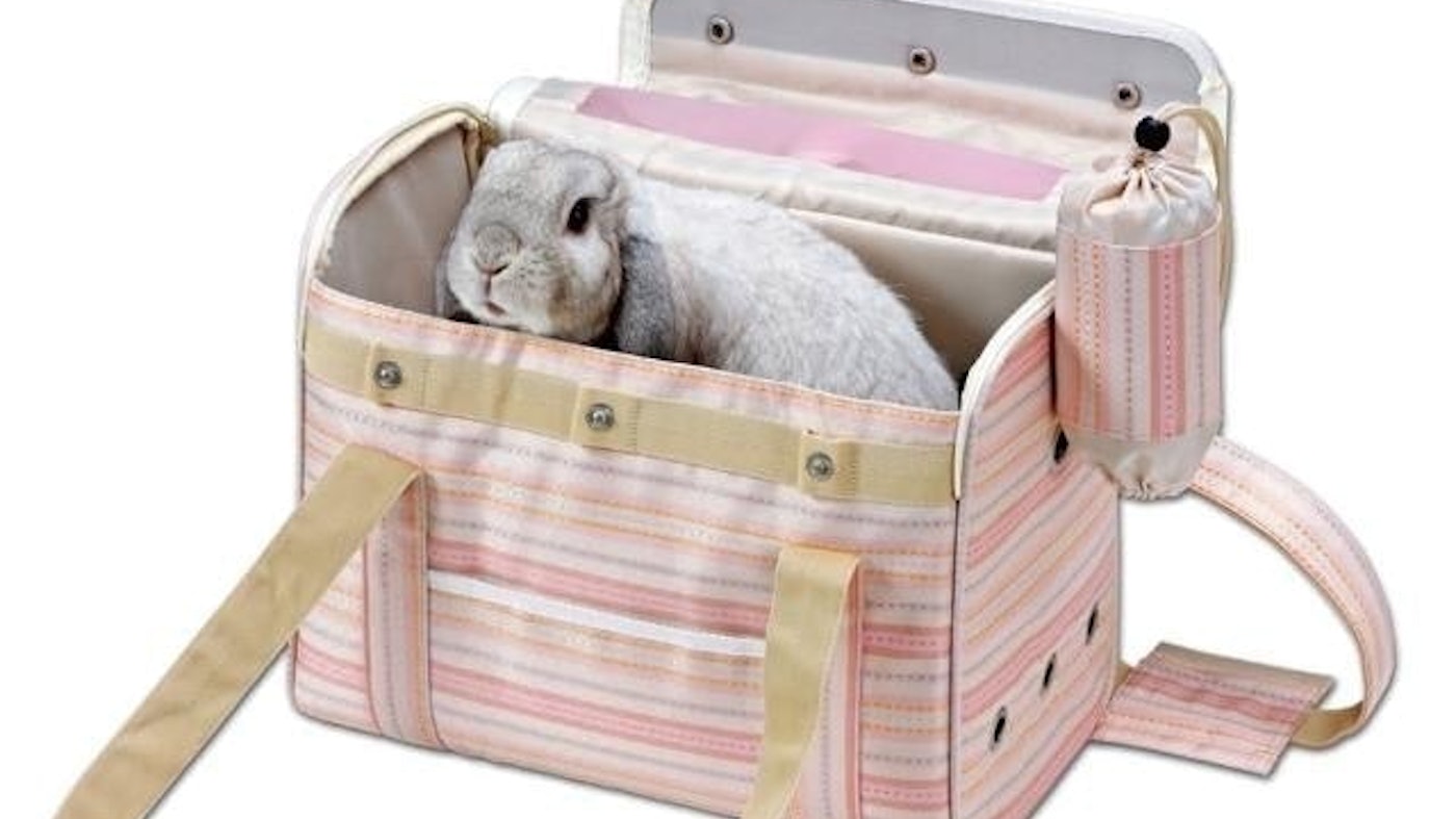 獸醫監修 推薦十大人氣兔子用外出籠 21年最新版 Mybest 獸醫監修 推薦十大人氣兔子用外出籠 21年最新版 Mybest