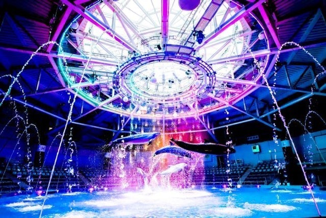 22最新 十大東京水族館推薦排行榜 Mybest