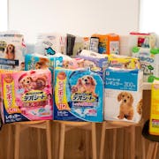 【開箱】2022最新推薦十大犬用寵物尿布墊排行榜
